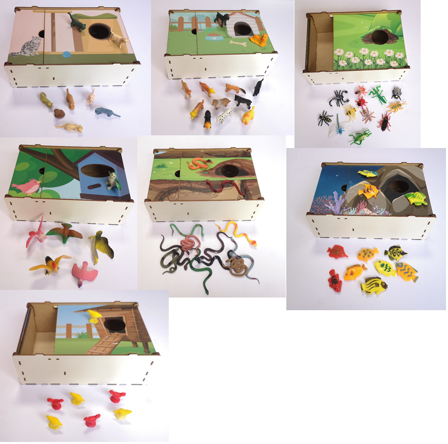 Cajas Individuales Set 3